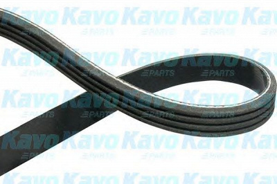KAVO PARTS dmv6550 -  Поликлиновой ремень